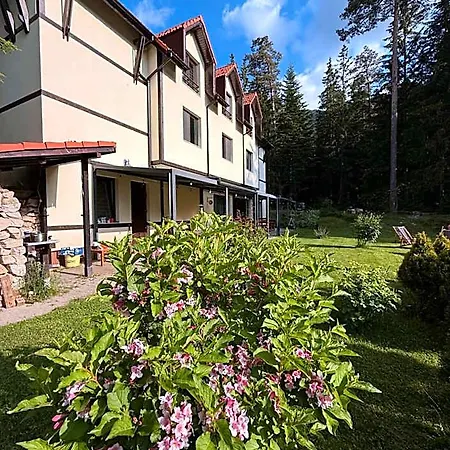 Berghof Eva - Hotel *