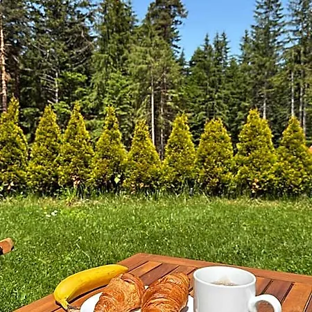 Berghof Eva -